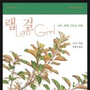 제이호프 이미지