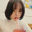 빈마마파파 이미지
