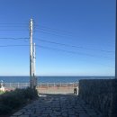 하도리움 제주독채 감성숙소 이미지