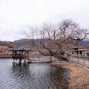 대촌1리마을회관 이미지