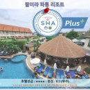 그랑데약국 | 푸켓 여행 추천! 팔미라 파통 리조트 솔직 후기