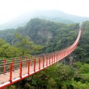 회생당약국 이미지