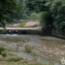 수양농산물