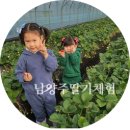 더드림농장 이미지