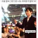 댕들