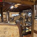 진정훈동물병원 이미지