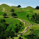 대가야센터-12 이미지