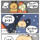 [23년 12월] 가시덤불 속에 핀 하얀 찔레꽃