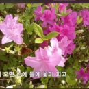 Spring has come 봄이 왔어요 이미지