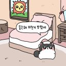 (주)햇빛 이미지