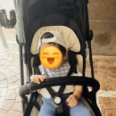 아기 캡모자 nba 사이즈 및 구입 후기(10개월 아기)