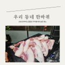 육뽈
