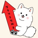 주식회사 국개대표 이미지