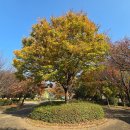 어연보건진료소 이미지