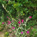 하늘과땅 이미지