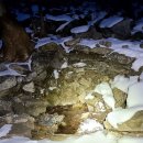 금평목장 이미지