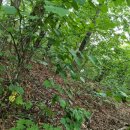 도대1리 마을회관 이미지