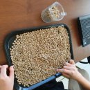 한국무용(중급) | SCA디플로마란? 바리스타 진로에 꼭 필요한 국제 자격증 후기