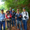 팔공산 둘레길 3구간 이미지