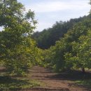 들길농장 이미지