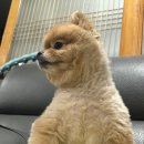 윤민박 이미지
