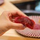 문셰프노하나비 | 오사카 스시 맛집 난바 오마카세 스시시손 寿司志尊 예약 후기