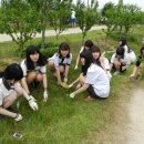 고잔고등학교 이미지