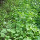 비전농장 이미지