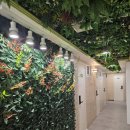 새성남옵티마약국 | 성남 원룸텔 가격 높아 경제적 원룸 찾다 발견한 죽전역 원룸 추천