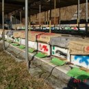 서상농장 이미지