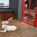 미술시간펜션 이미지