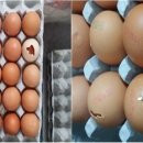 전부유통관리