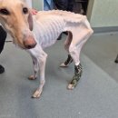 왕성갈비 이미지