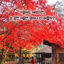 동막골목장 이미지