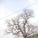 고읍농장 이미지