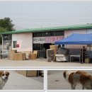 석실로526 이미지