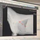 마음을 읽어주는 마음동물병원 | 동물의료센터' 마음까지 보듬어주는 세심한 진료, '위례 LA동물의료센터' 방문기. 위례동물병원, 하남...