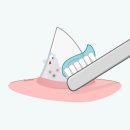 호수동물병원 네이버블로그