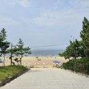 개미촌펜션 이미지