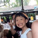 애니멀킹덤 이미지