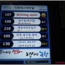 시고개농원 Daum카페