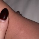 디아크리조트 | 여수 디아크리조트 내돈내산 부분환불 후기 (하수구냄새, 모기, 주차)