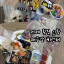 거제회센타 | 거제 횟집 해금강회센터✨ 아주동횟집 모듬회 포장 솔직후기🙋🏻‍♀️💛