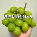 조은팜영농조합 샤인머스켓 가정용1kg 후기 명절선물세트 강추