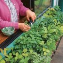 가드닝과 정원만들기 이미지