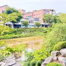 안양예술공원내 공영주차장 | 강아지 계곡 수영장 안양예술공원