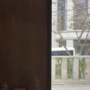 땡스오트 이미지