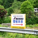 우중캠핑도 감성있게 캠핑포유 캠핑후기 with Snake !!
