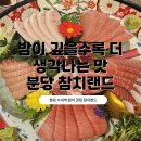 와우브레인 | 밤이 깊을수록 더 생각나는 맛, 참치랜드 분당 수내역 맛집 분담 참치 후기