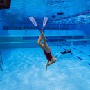 중원-33 | 성남 프리다이빙강습 웨이브33 레벨1 과정후기